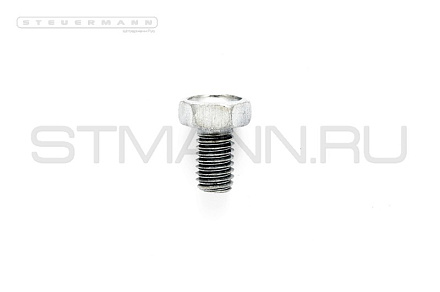 Болт М6*1*10 (уп. 20 шт)